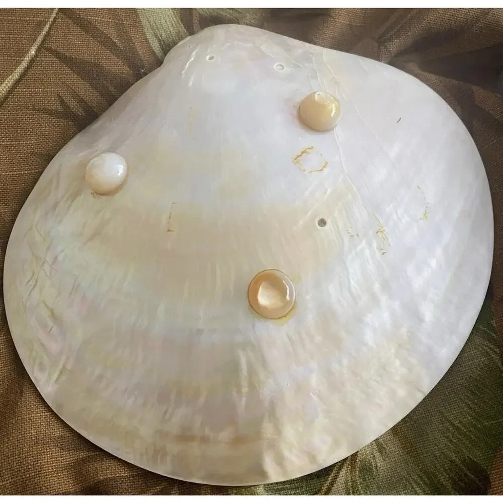 Vintage Exquisite Natural Mother of Pearl Shell Footed Caviar Serving Dish 8.5